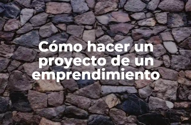 Cómo Hacer un Proyecto de un Emprendimiento