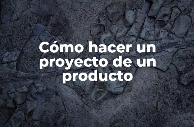 Cómo Hacer un Proyecto de un Producto