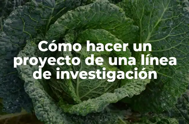 Cómo Hacer un Proyecto de una Línea de Investigación