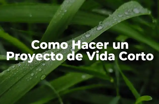 Como Hacer un Proyecto de Vida Corto