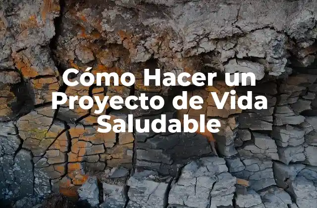 Cómo Hacer un Proyecto de Vida Saludable
