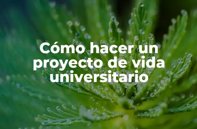Cómo hacer un proyecto de vida universitario