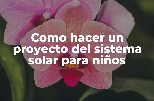 Como Hacer un Proyecto Del Sistema Solar para Niños