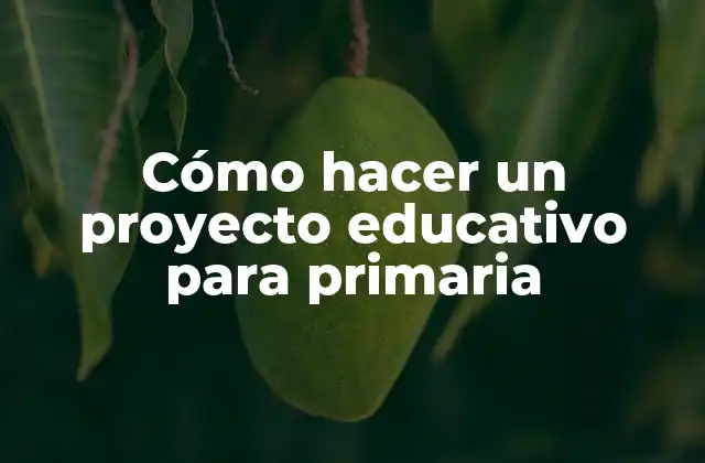 Cómo Hacer un Proyecto Educativo para Primaria