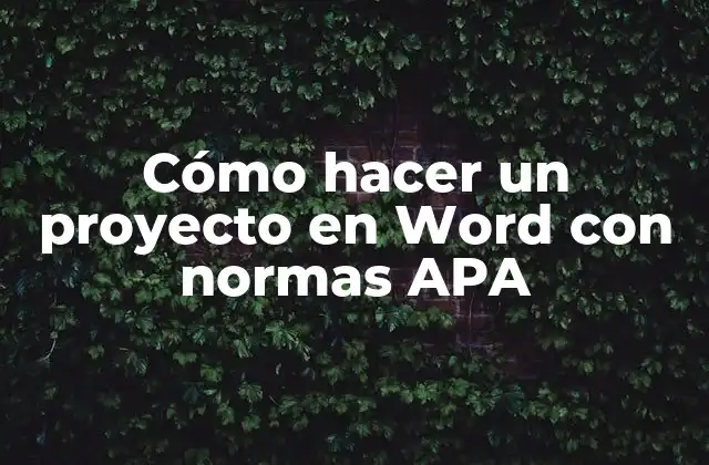 ¿Qué es un proyecto en Word con normas APA?