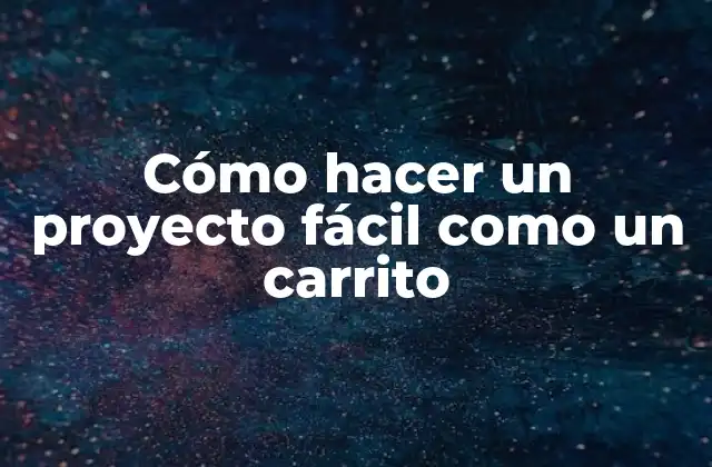 Cómo Hacer un Proyecto Fácil como un Carrito