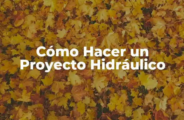 Cómo Hacer un Proyecto Hidráulico