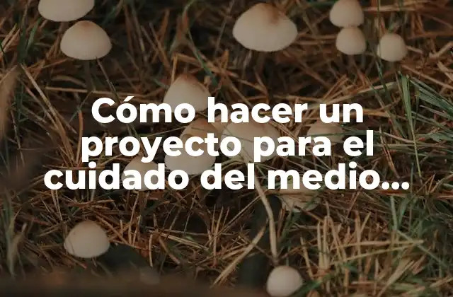 Cómo Hacer un Proyecto para el Cuidado Del Medio Ambiente 2 Cómo hacer un proyecto para el cuidado del medio ambiente