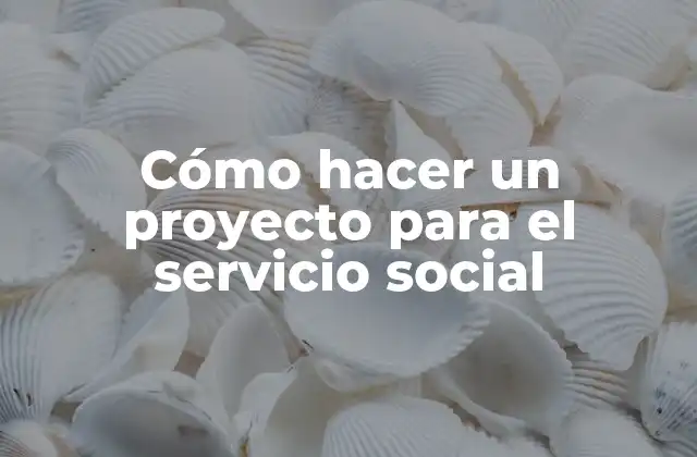 Cómo Hacer un Proyecto para el Servicio Social