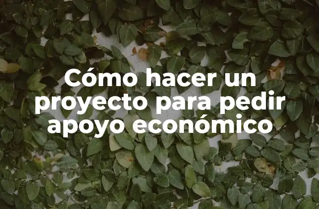 Cómo hacer un proyecto para pedir apoyo económico
