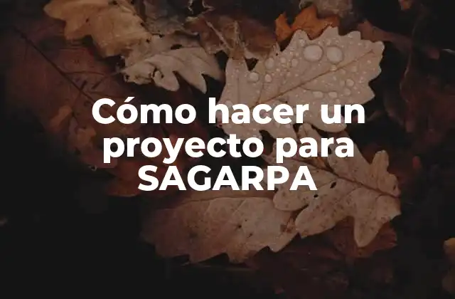 Cómo Hacer un Proyecto para Sagarpa