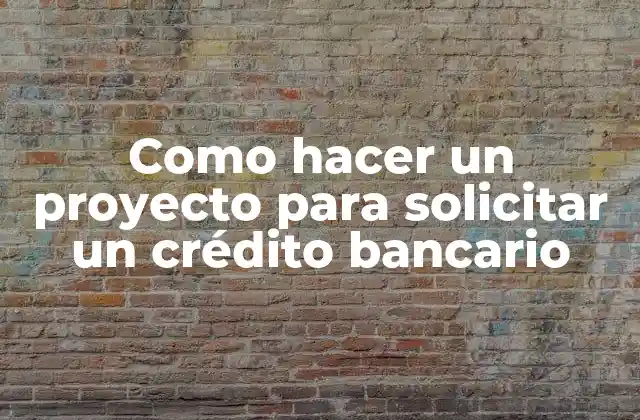 ¿Qué es un proyecto para solicitar un crédito bancario?
