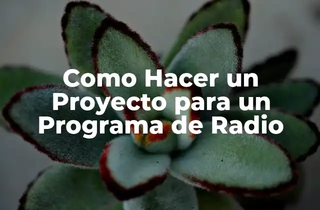 ¿Qué es un Proyecto de Radio?
