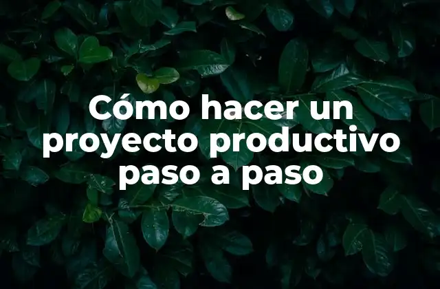 Cómo Hacer un Proyecto Productivo Paso a Paso