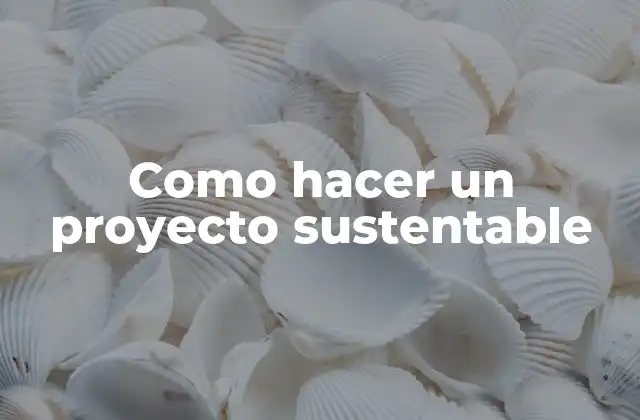 Como Hacer un Proyecto Sustentable