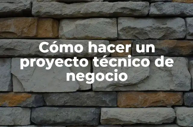 Cómo Hacer un Proyecto Técnico de Negocio
