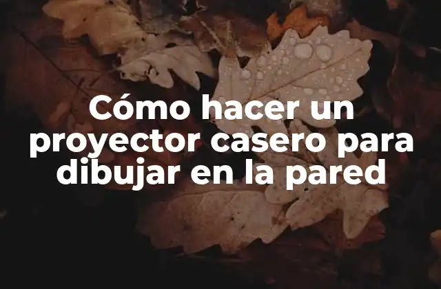 Cómo Hacer un Proyector Casero para Dibujar en la Pared