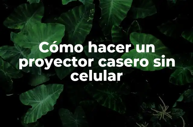 Cómo Hacer un Proyector Casero sin Celular