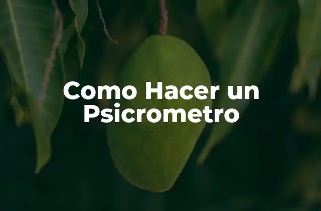 Como Hacer un Psicrometro