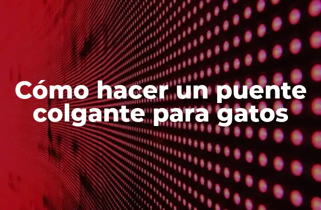 Cómo Hacer un Puente Colgante para Gatos