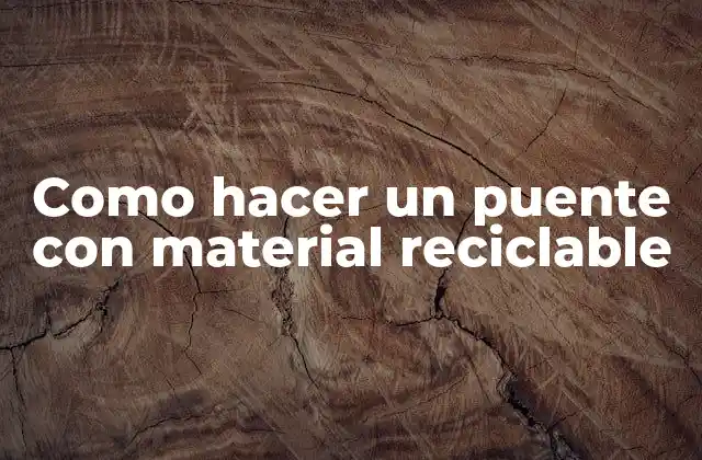 Como Hacer un Puente con Material Reciclable