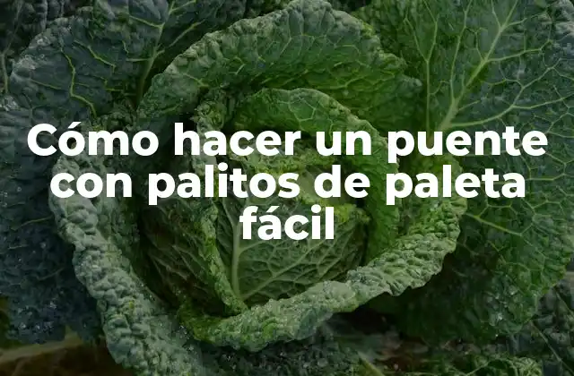 Cómo Hacer un Puente con Palitos de Paleta Fácil 2 Cómo hacer un puente con palitos de paleta fácil