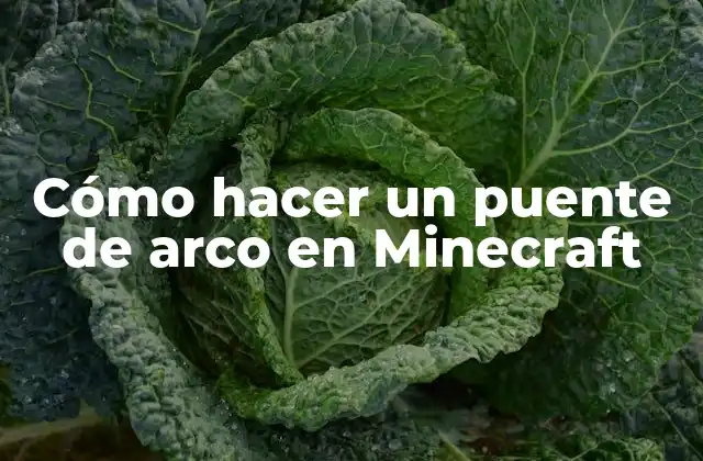 Cómo Hacer un Puente de Arco en Minecraft