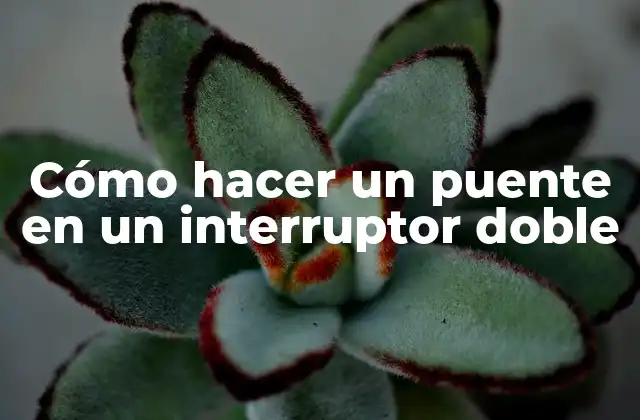 Cómo Hacer un Puente en un Interruptor Doble