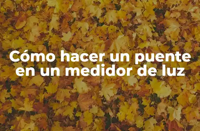 Cómo Hacer un Puente en un Medidor de Luz