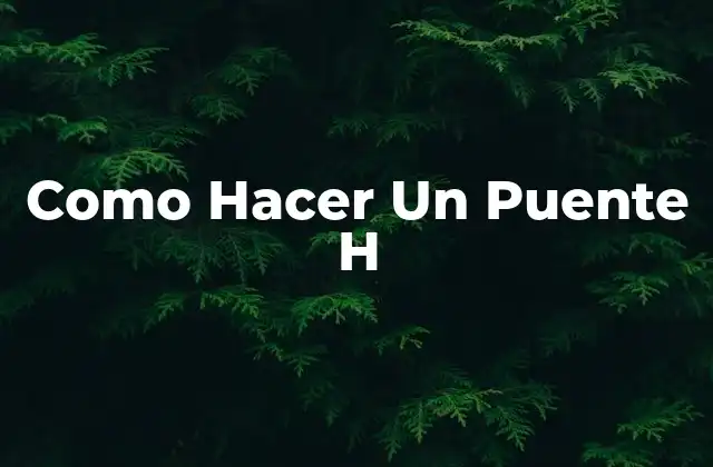Como Hacer un Puente H