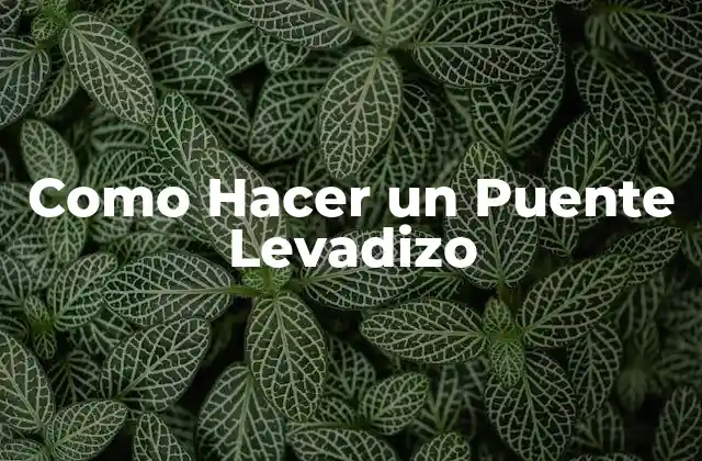 Como Hacer un Puente Levadizo