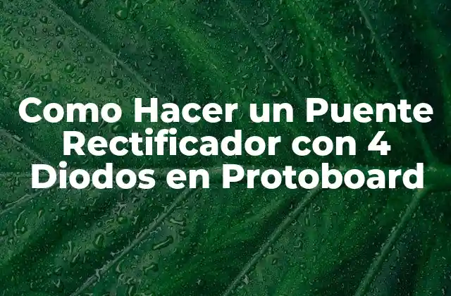 Como Hacer un Puente Rectificador con 4 Diodos en Protoboard