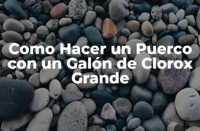 Como Hacer un Puerco con un Galón de Clorox Grande