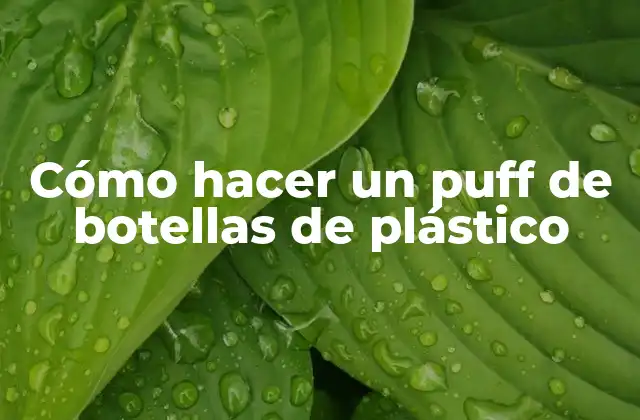 Cómo Hacer un Puff de Botellas de Plástico
