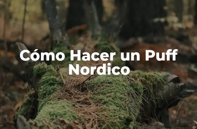 Cómo Hacer un Puff Nordico