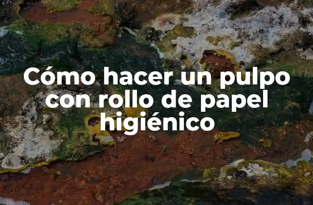 ¿Qué es un pulpo de papel higiénico y para qué sirve?