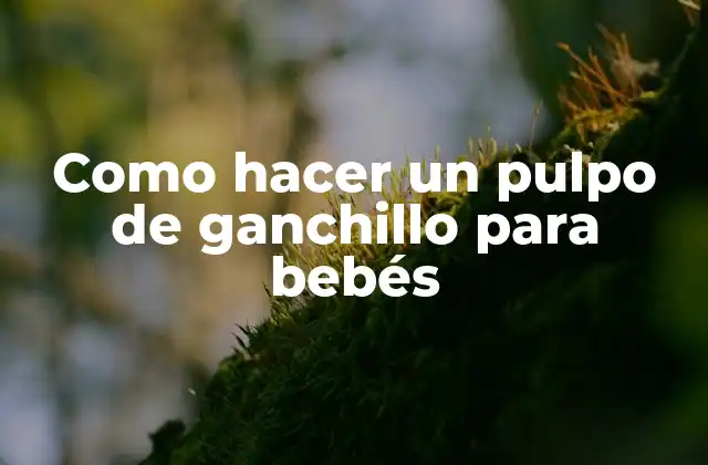 Como Hacer un Pulpo de Ganchillo para Bebés