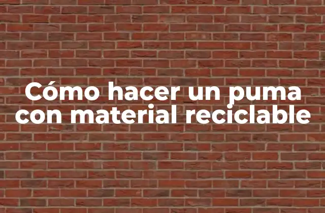 Cómo Hacer un Puma con Material Reciclable