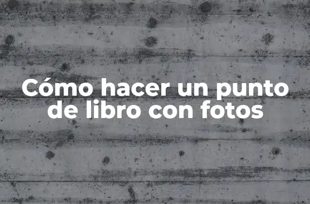 ¿Qué es un punto de libro con fotos?