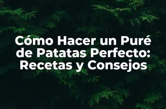 Cómo Hacer un Puré de Patatas Perfecto: Recetas y Consejos