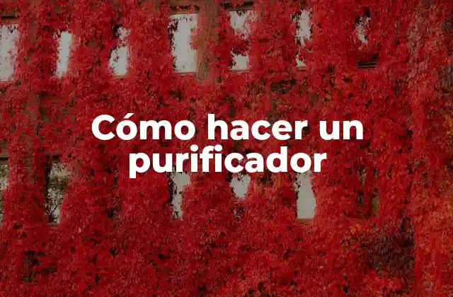Cómo Hacer un Purificador 2 Cómo hacer un purificador