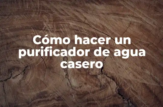 Cómo Hacer un Purificador de Agua Casero