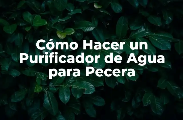Cómo Hacer un Purificador de Agua para Pecera