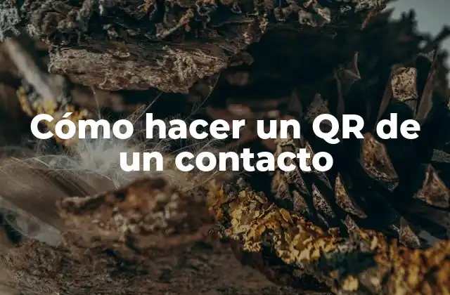 Cómo Hacer un Qr de un Contacto