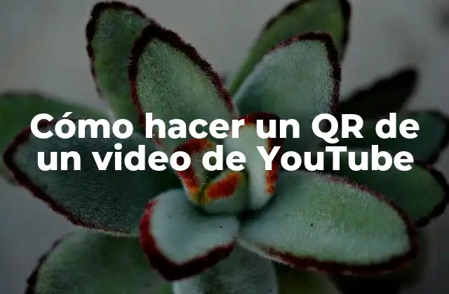 Cómo Hacer un Qr de un Video de Youtube