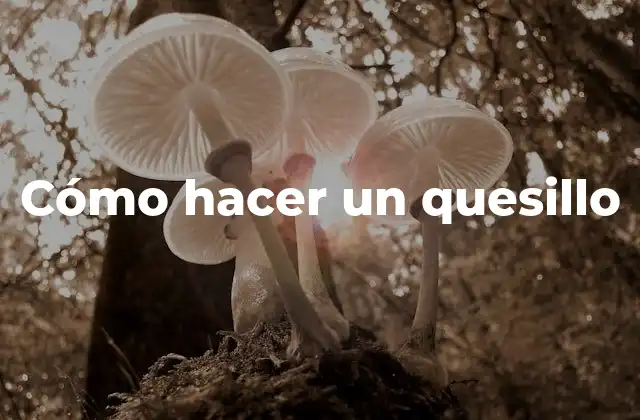 Cómo Hacer un Quesillo