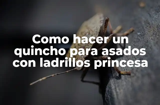 Como Hacer un Quincho para Asados con Ladrillos Princesa