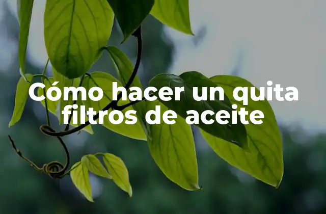 Cómo Hacer un Quita Filtros de Aceite