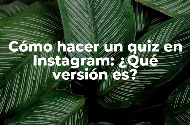 Cómo Hacer un Quiz en Instagram: ¿qué Versión Es?
