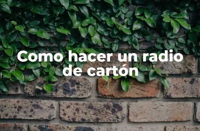 Como Hacer un Radio de Cartón